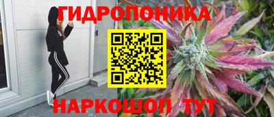 mdma Можга